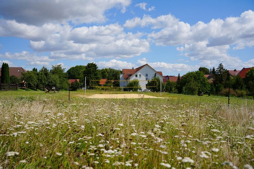 bluehwiese-98c84fd8.jpg
