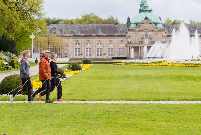04 Nordic Walking.png