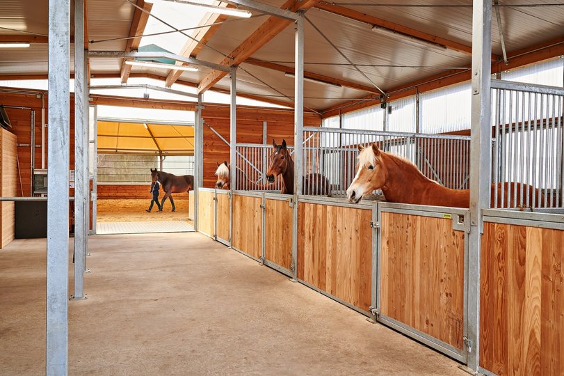 Low_Pferdestall.jpg