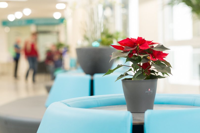 Foyer Salinenklinik und Stimmheilzentrum.jpg