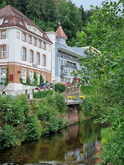 20230727_182915 klein.jpg